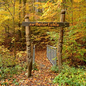 DSC_7397_00001_01n.jpg