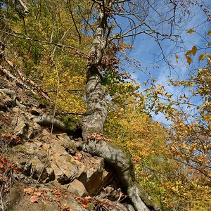 DSC_7436_00001n.jpg