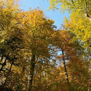DSC_7468_00001n.jpg