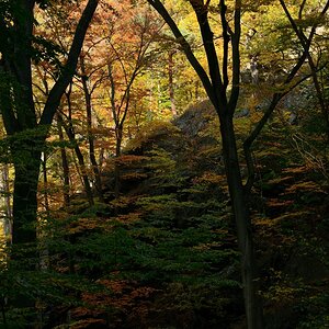 DSC_7486_00001n.jpg