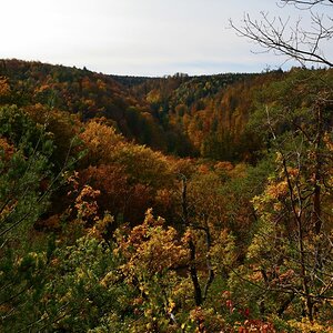 DSC_7500_00001n.jpg