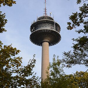 C71_2173.jpg