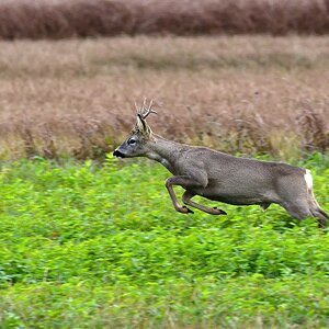 2020_31669.jpg