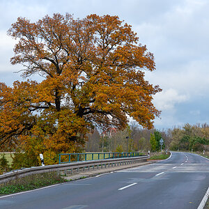 OF2_44676.jpg