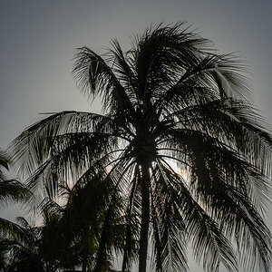 Sonnenuntergang Hamilton Island.jpg