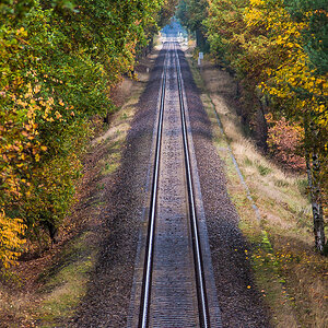 Herbstgleis (1 von 1).JPG