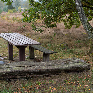 Bokeler Heidebank (1 von 1).JPG