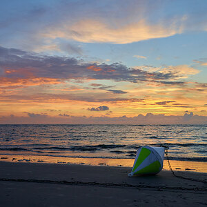 DSC_4784_1.jpg