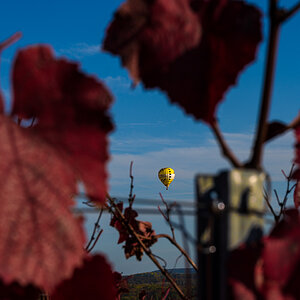 Herbst-Letzenberg-2160.jpg
