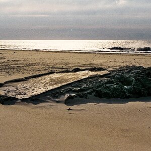 TZ_006_8A_B.jpg