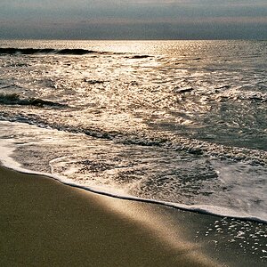 TZ_007_9A_B.jpg