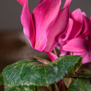 D72_0806.jpg