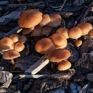 OF5_05692.jpg