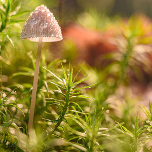 D72_0812x.jpg