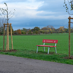 OF2_44700.jpg