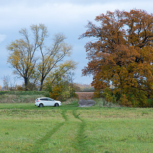 OF2_44661.jpg