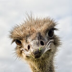 TZ_DSC_0363.jpg