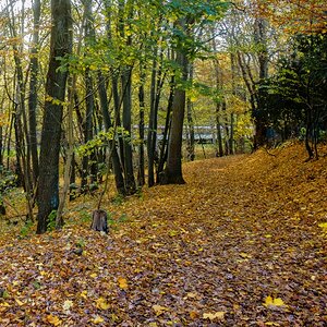 TZ_DSC02475_A.jpg