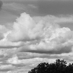 20201107-001.jpg