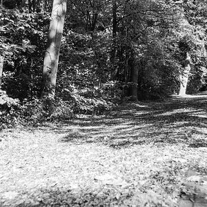 20201107-014.jpg