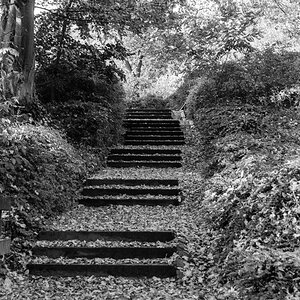 20201107-016.jpg