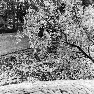20201107-017.jpg