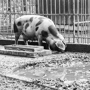 20201107-023.jpg