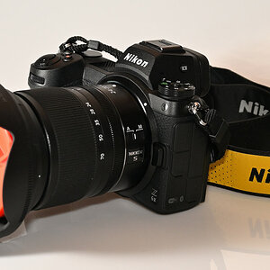 Z6II-1.JPG