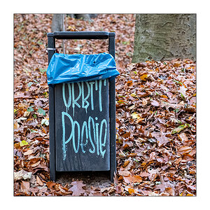 541 Orbit Poesie