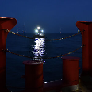 20201109_071410_nf.jpg