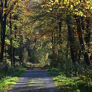 Indian Summer in NRW.jpg