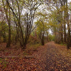 P1025090a_klein.jpg