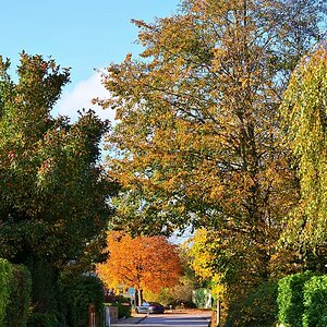 KLS202011010003M_01.jpg