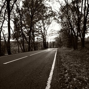 DSC_2524_00001_02n.jpg