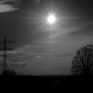 P1025105a_klein_sw.jpg