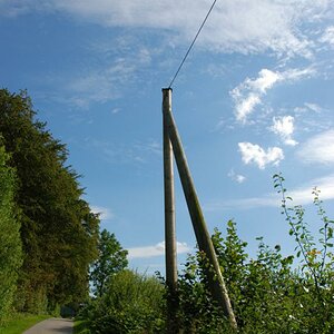 DSC 0124