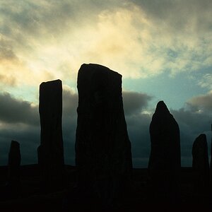 comp schottland87 136 nx2