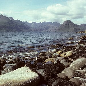 comp schottland87 167 nx2