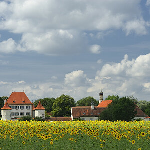 20090728 134426 Blutenburg Sonne