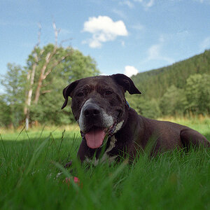Timba