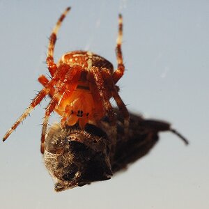DSC 5317 E