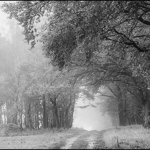 Diesig BW (1 von 1).JPG