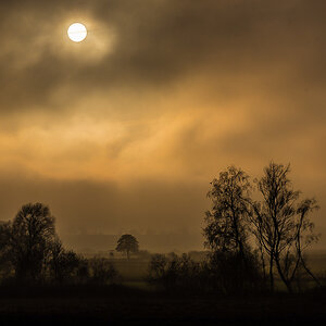 Nebel über den Seewiesen (1 von 1).JPG