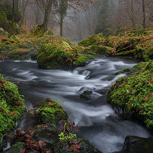 D81_5247_5.jpg