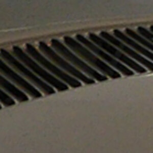 P1000310-1.JPG