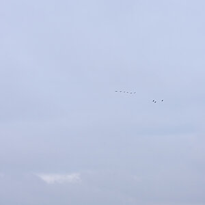 OF2_45480.jpg