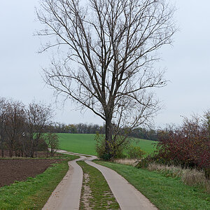 OF2_45515.jpg