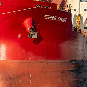 D50_8680#.JPG