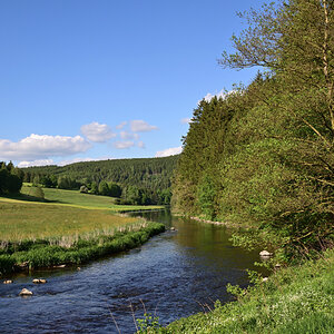 DSC_4626.JPG
