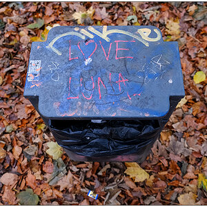 586 Love Luna